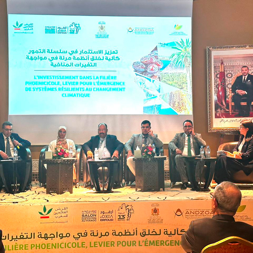 Salon International des Dattes au Maroc 2024 : La recherche agricole et l’investissement, des leviers de développement durable des oasis, au cœur du programme scientifique