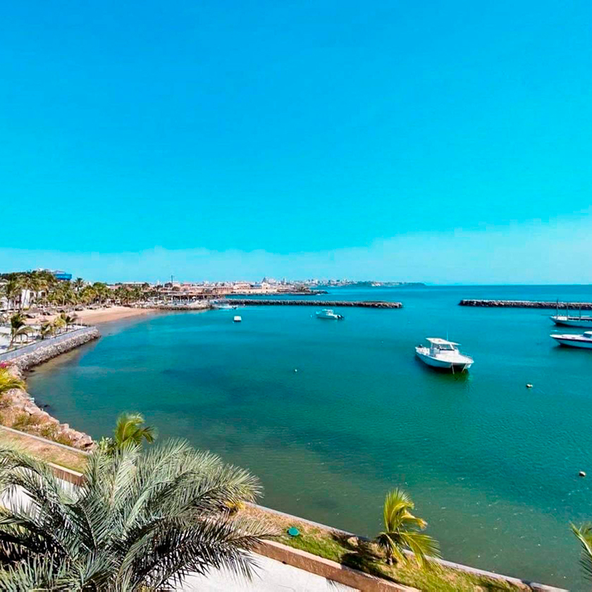 Terrou-bi Dakar : Évasion au cœur du Sénégal, sous la douceur de son soleil