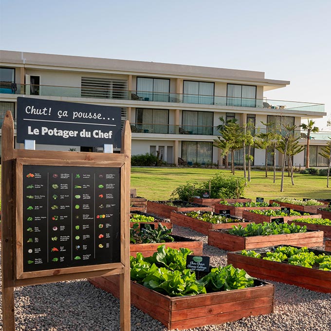 Hyatt Regency Taghazout se dote de son propre potager BIO
